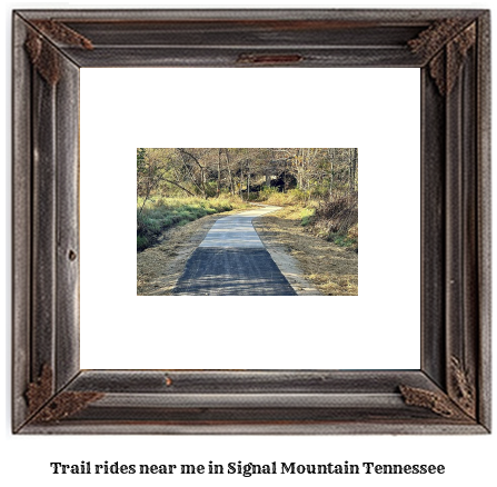 trail rides near me in Signal Mountain, Tennessee